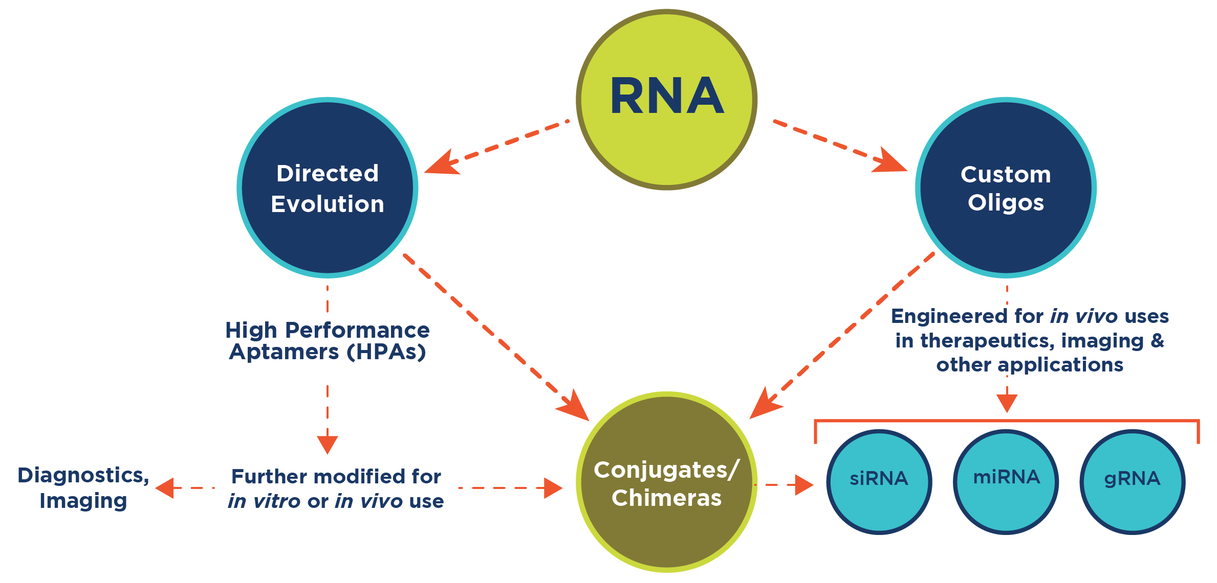 technology-hpa technology-hpa